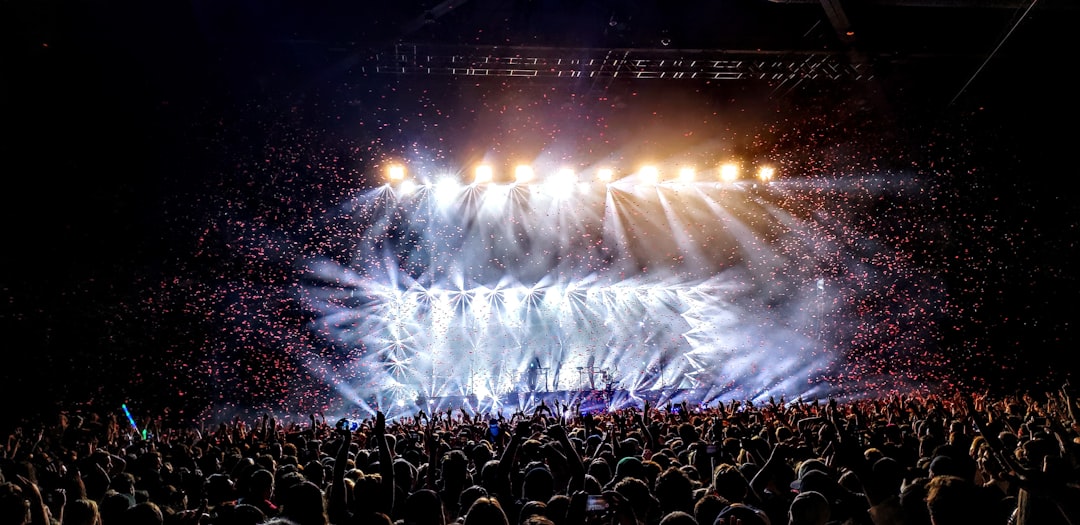 people watching a concert